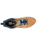 Caterpillar Colorado Brown Sugar Spellbound P726087