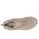 Caterpillar Intruder Fungi P111393