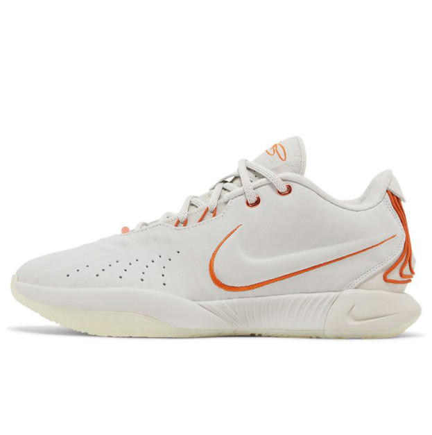 Nike LeBron 21 Akoya FV2345-001
