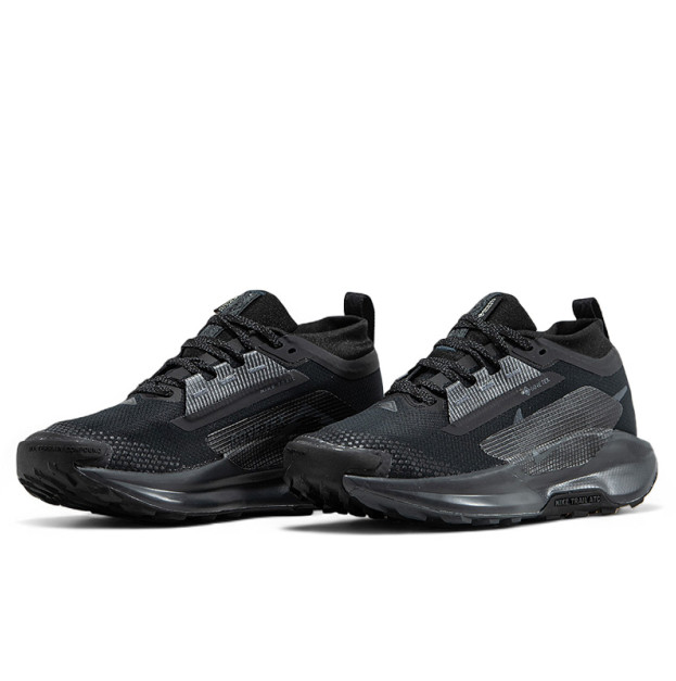 Nike Pegasus Trail 5 Gore-Tex Black Anthracite FQ0908-002