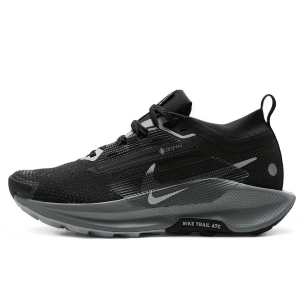 Nike Pegasus Trail 5 Gore-Tex Black Wolf Grey FQ0912-001