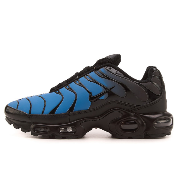 Nike Air Max TN Plus Chameleon Blue