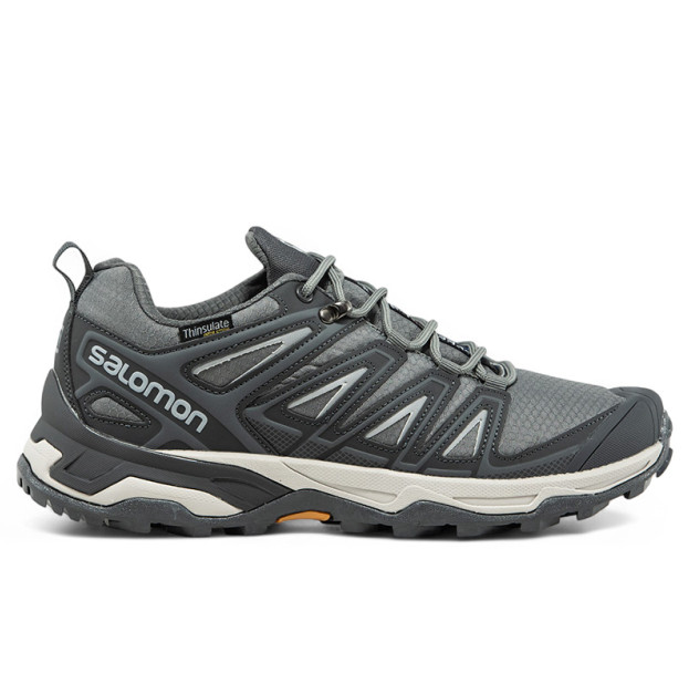 Salomon Speed Cross Pro Gore-Tex Thinsulate Grey Two