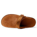 UGG Goldenstar Clog Chestnut 1138252-CHE