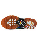 Кросівки Nike Air Max Plus Frank Rudy Ghost Green DZ0480-300 Різнокольорові