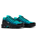 Кроссовки Nike Air Max Plus Light Retro DM0032-401 Бирюзовый