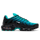 Кроссовки Nike Air Max Plus Light Retro DM0032-401 Бирюзовый