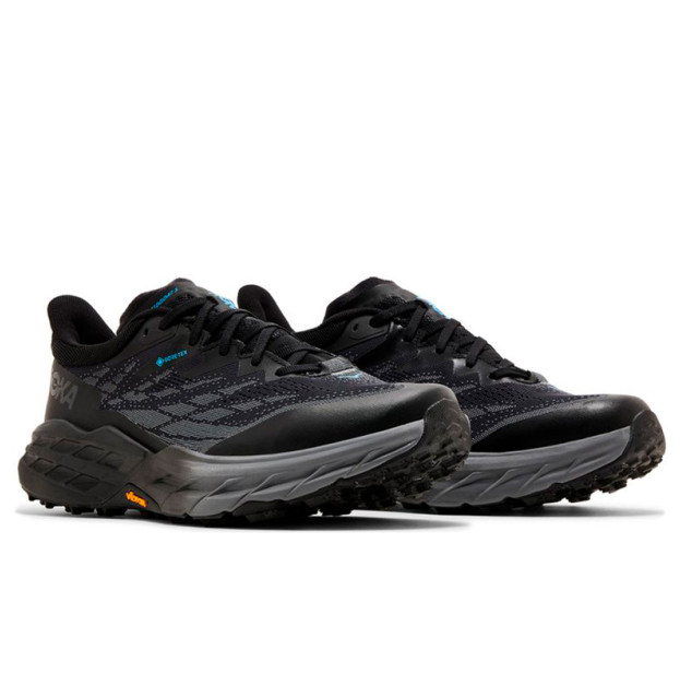 Hoka Speedgoat 5 Gore-Tex Black Blue 1127912-BBLC