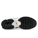 Кросівки Nike Air Max TN Waterproof Grey Blue Білий/сірий