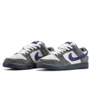 Кросівки Nike Dunk Low Pro SB Purple Pigeon 304292-051 Різнокольорові