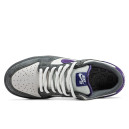 Кросівки Nike Dunk Low Pro SB Purple Pigeon 304292-051 Різнокольорові