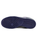 Кросівки Nike Dunk Low Pro SB Purple Pigeon 304292-051 Різнокольорові
