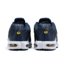 Кросівки Nike Air Max Plus French Football Federation FB3350-400 Білий/синій