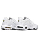 Кроссовки Nike Air Max TN Plus Triple White Белый