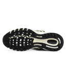 Кросівки Nike Air Pegasus 2K5 Sea Glass FQ3571-001 Бежевий