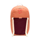 Рюкзаки Рюкзак Nike HIKE DAYPACK DJ9678-225 Коричневий