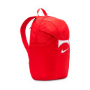 Рюкзаки Рюкзак Nike ACDMY TEAM BKPK 2.3 DV0761-657 Червоний
