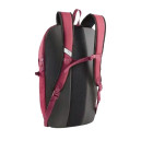 Рюкзаки Рюкзак Puma Plus PRO Backpack 7952107 Красный