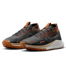 Кросівки React Pegasus Trail 4 Gore-Tex Anthracite Ale Brown FD5841-001 Різнокольорові