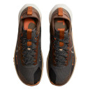 Кросівки React Pegasus Trail 4 Gore-Tex Anthracite Ale Brown FD5841-001 Різнокольорові
