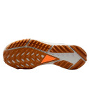 Кросівки React Pegasus Trail 4 Gore-Tex Anthracite Ale Brown FD5841-001 Різнокольорові