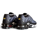 Кроссовки Nike Air Max TN Plus Blue Black White Разноцветные