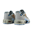 Кросівки Nike Air Max Plus Drift Light Smoke Grey FD4290-002 Різнокольорові