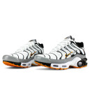 Кросівки Nike Air Max Plus TN Double Swoosh Mean Grey White Різнокольорові