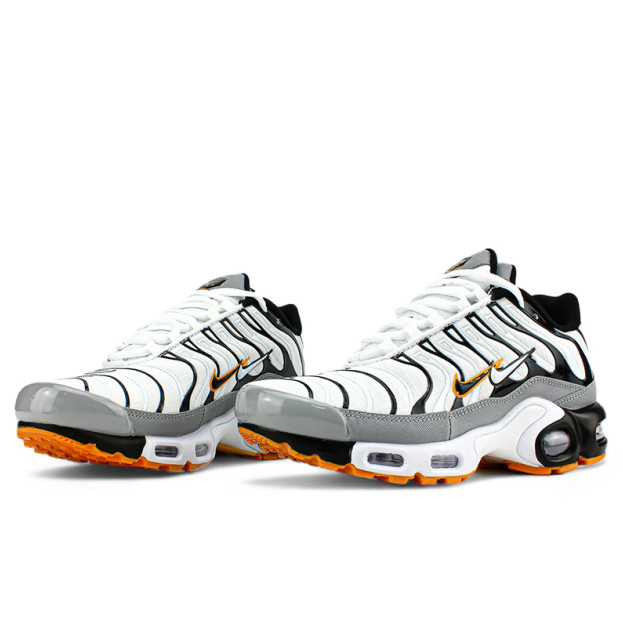 Nike Air Max Plus TN Double Swoosh Mean Grey White
