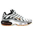 Кросівки Nike Air Max Plus TN Double Swoosh Mean Grey White Різнокольорові