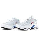 Кроссовки Nike Air Max Plus Euro Tour Particle Grey CW7575-001 Белый/серый