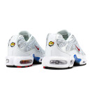 Кроссовки Nike Air Max Plus Euro Tour Particle Grey CW7575-001 Белый/серый