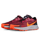 Кроссовки Nike Pegasus Trail 3 Dark Beetroot DA8697-600 Бордовый