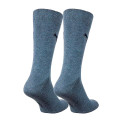 Шкарпетки/Гетри Шкарпетки Puma CLASSIC 2P 90712806 Сірий