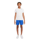 Shorts Nike NK CHALLENGER SHORT DM8550-480 Blue