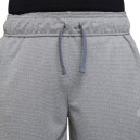 Shorts Shorts Nike NK POLY+ SHORT DO7093-091 Grey