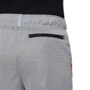 Shorts Shorts Nike NK POLY+ SHORT DO7093-091 Grey