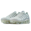 Кросівки Nike Air VaporMax Plus Grey Сірий