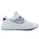 Кросівки Nike Zoom Inferno 3 White Purple Mint Різнокольорові