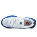 Кросівки Nike Air Max DN Platinum Royal DV3337-102 Білий/синій