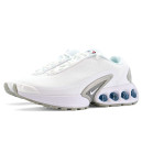 Кросівки Nike Air Max DN White Pure Platinum FJ3145-100 Білий/сірий
