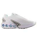 Кросівки Nike Air Max DN White Pure Platinum FJ3145-100 Білий/сірий