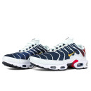 Кроссовки Nike Air Max TN Plus White Blue Red Разноцветные