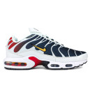 Кроссовки Nike Air Max TN Plus White Blue Red Разноцветные
