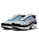 Кросівки Nike Air Max Plus Pure Platinum Court Blue FN6949-001 Різнокольорові