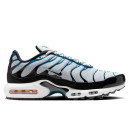 Кросівки Nike Air Max Plus Pure Platinum Court Blue FN6949-001 Різнокольорові
