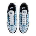 Кросівки Nike Air Max Plus Pure Platinum Court Blue FN6949-001 Різнокольорові