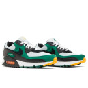 Кроссовки Nike Air Max 90 Gorge Green DM0029-004 Разноцветные