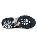 Кросівки Nike Air Max Plus Black White AR1852-006 Чорний/білий