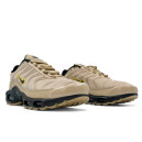 Кросівки Nike Air Max Plus Wheatgrass DZ4501-700 Бежевий